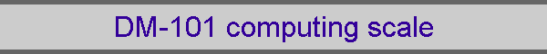 DM-101 computing scale